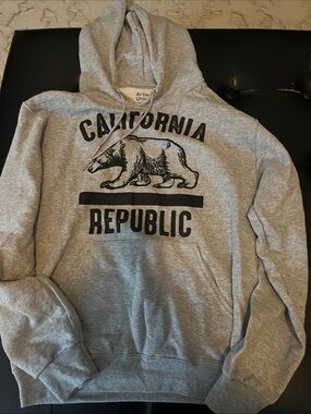 Artist Union Clothing Co. California Republic Hoodie in Gray and Black